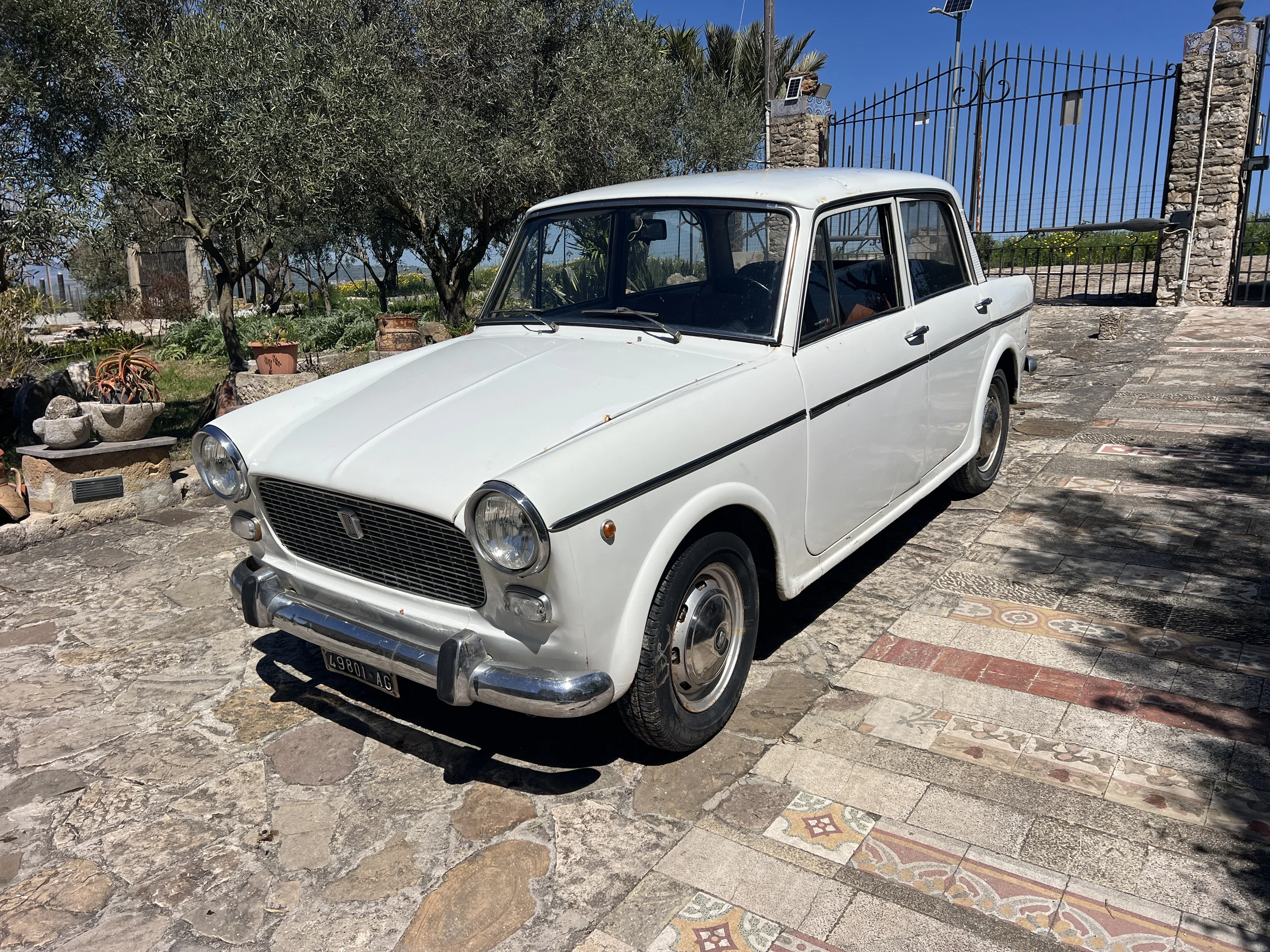 1962 Fiat 1100 D