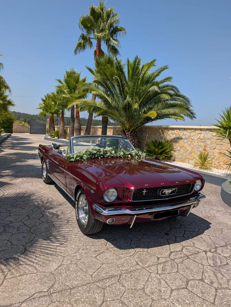 1964 Ford Mustang Convertible 1964 in Leiria 4