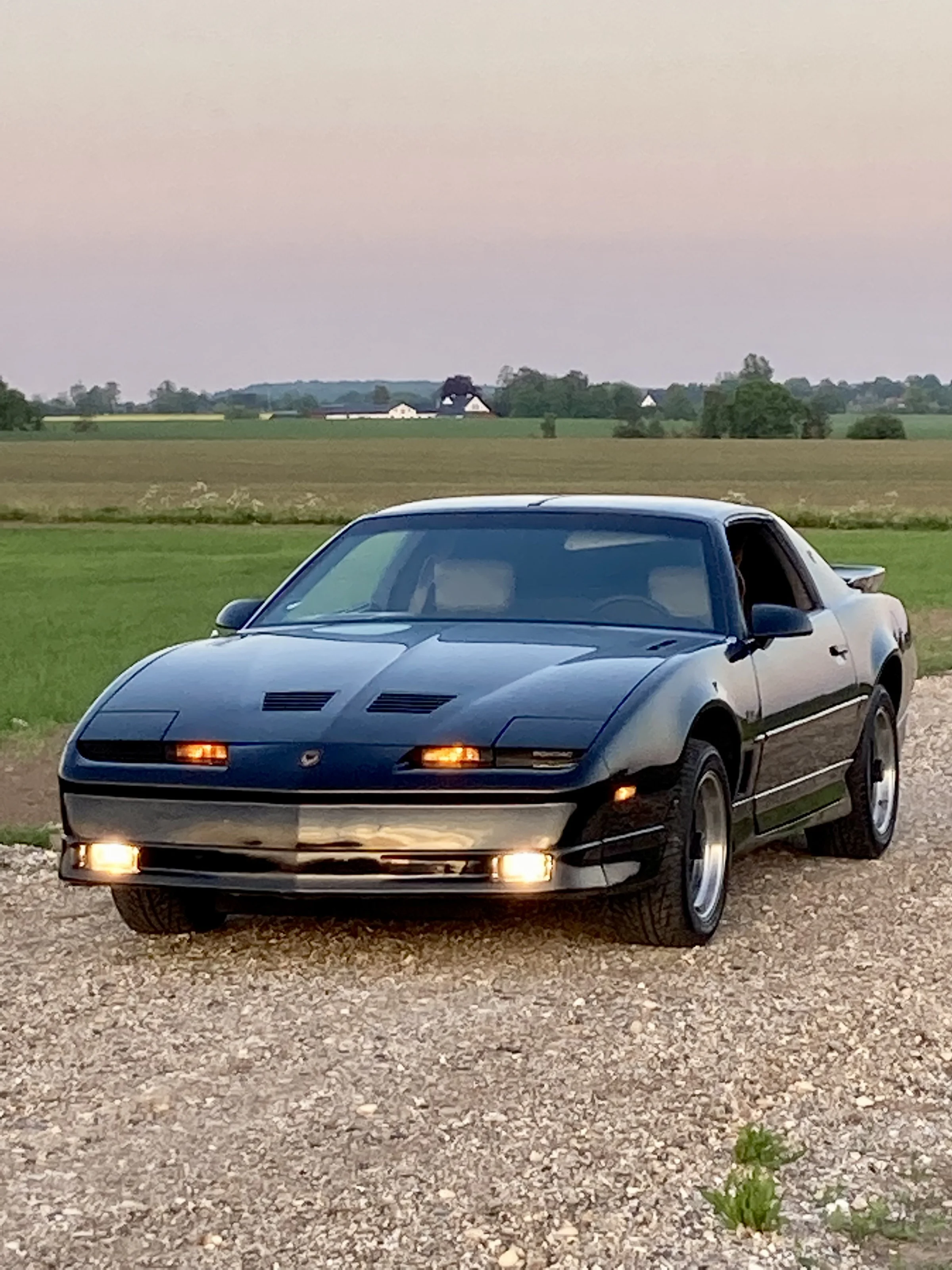 1989 Pontiac Firebird Trans Am