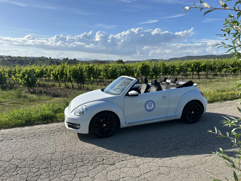 2017 Volkswagen Maggiolino Cabrio in Terni 4