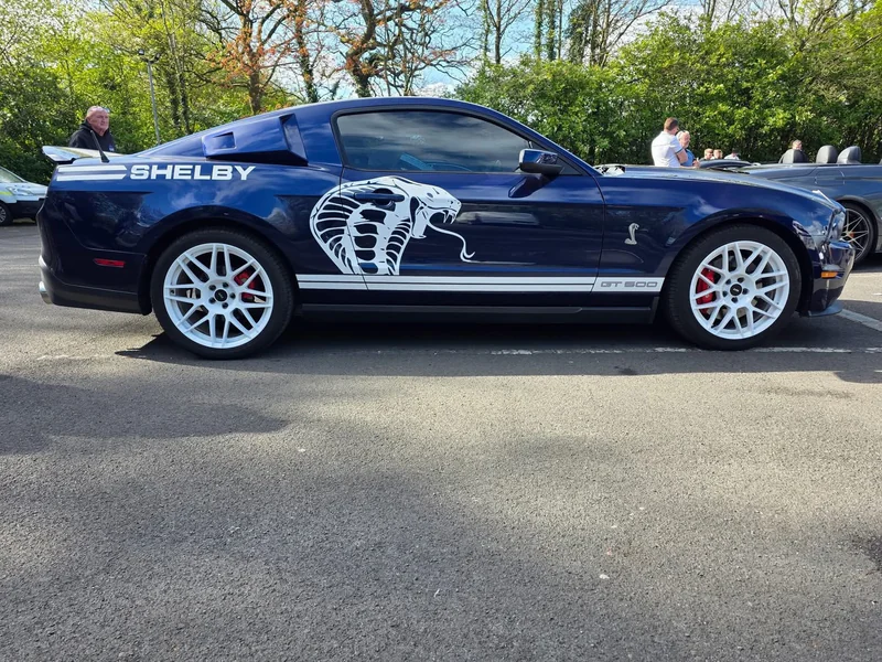 2011 Ford Shelby Gt500 in Leyland 2