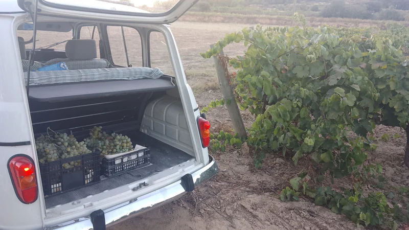 1988 Renault 4 Tl in Vilafranca Del Penedès 11