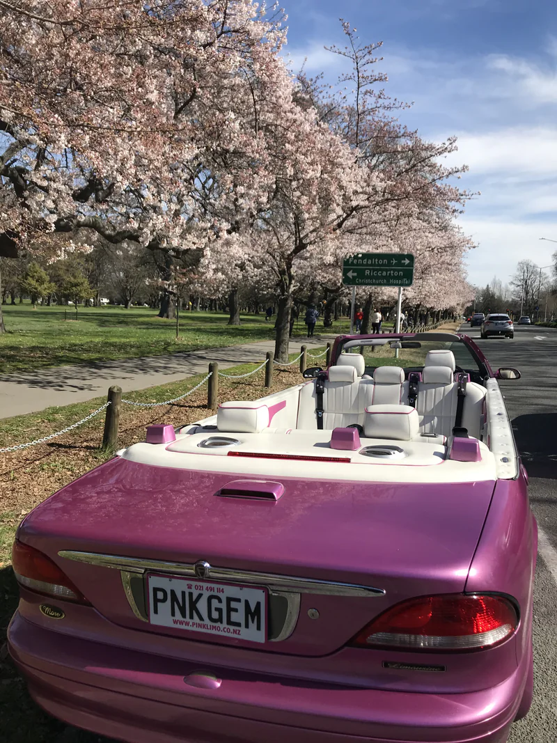 1994 Ford Pink Convertible Stretch Limousine in Christchurch 3