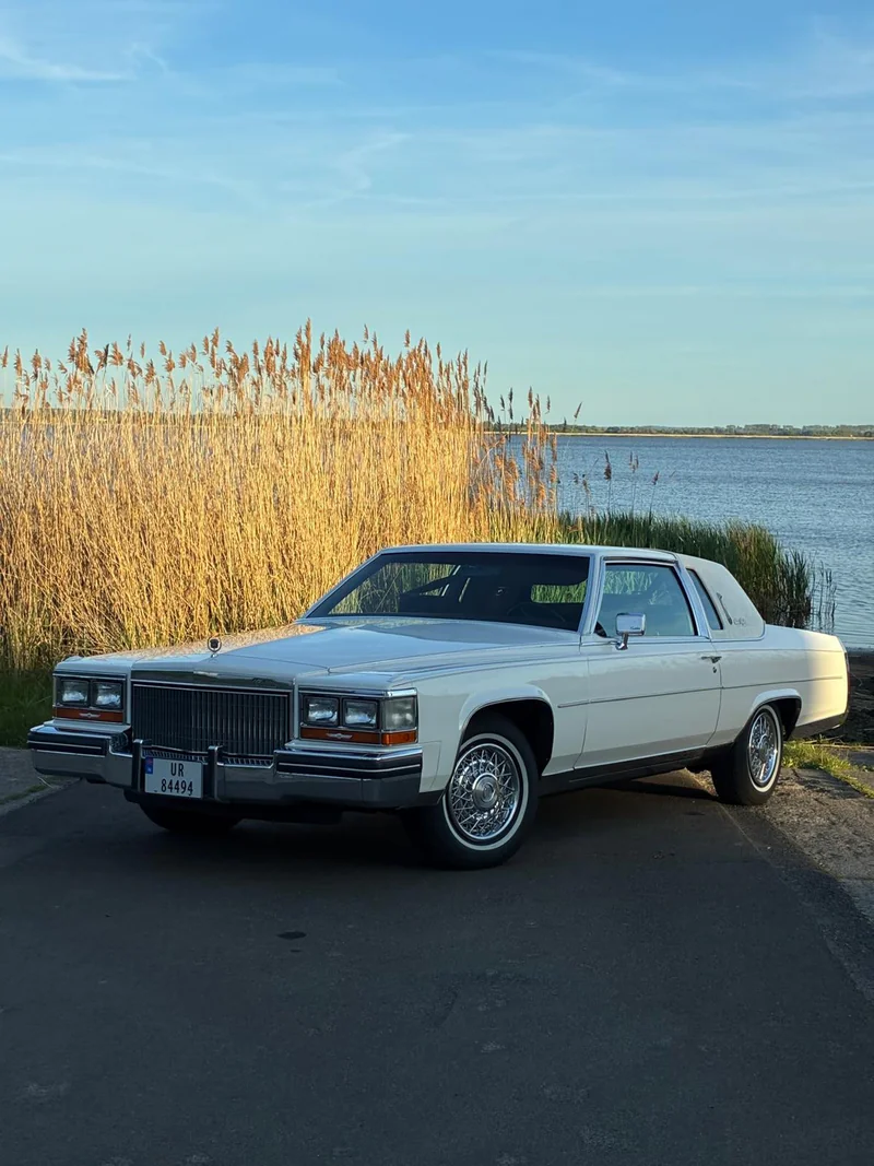 1980 Cadillac Fleetwood in Gościno 2