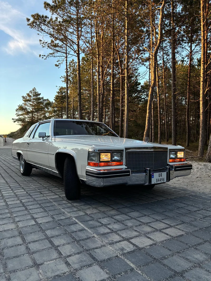 1980 Cadillac Fleetwood in Gościno 4