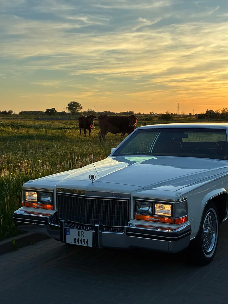 1980 Cadillac Fleetwood in Gościno 5