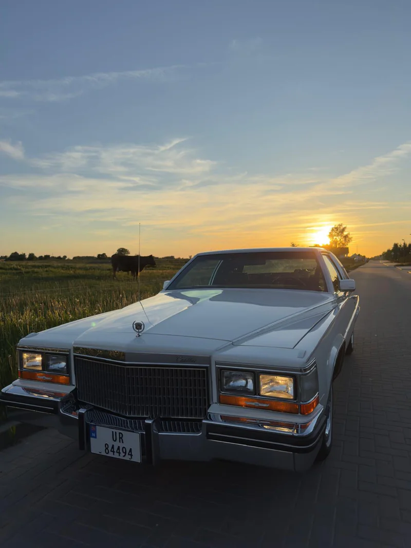 1980 Cadillac Fleetwood in Gościno 6