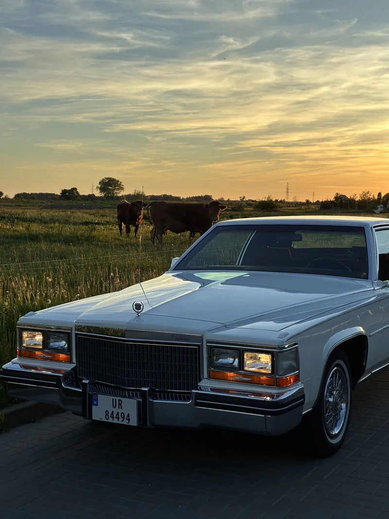 1980 Cadillac Fleetwood in Kołobrzeg 5