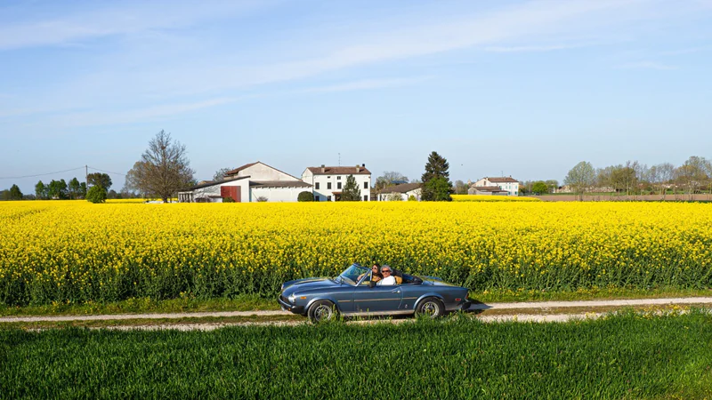 1979 Fiat 124 Spider Cs2 Pininfarina 2000  in Campagnola Emilia 2
