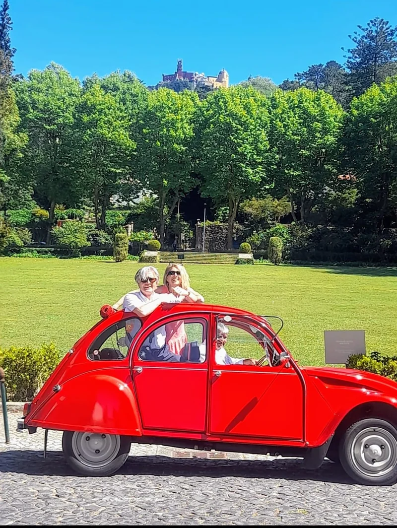 1990 Citroen 2 Cavalos in Santa Iria De Azoia 7