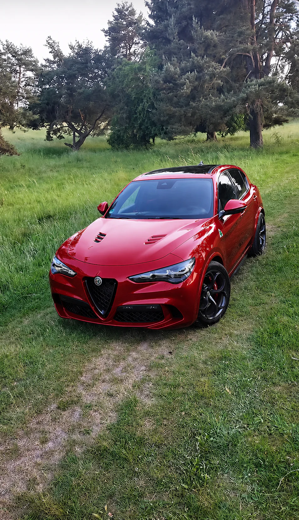 2019 Alfa Romeo Stelvio Quadrifoglio