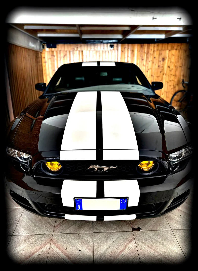 2014 Ford Mustang in Monte Sant'angelo 3