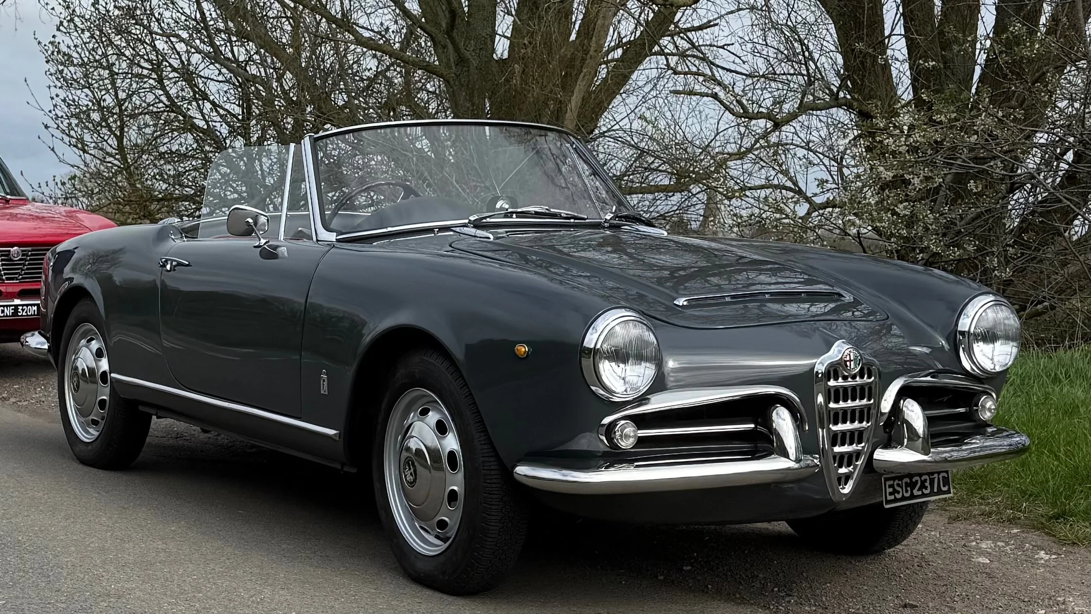 1965 Alfa Romeo 10119 Giulia Spider