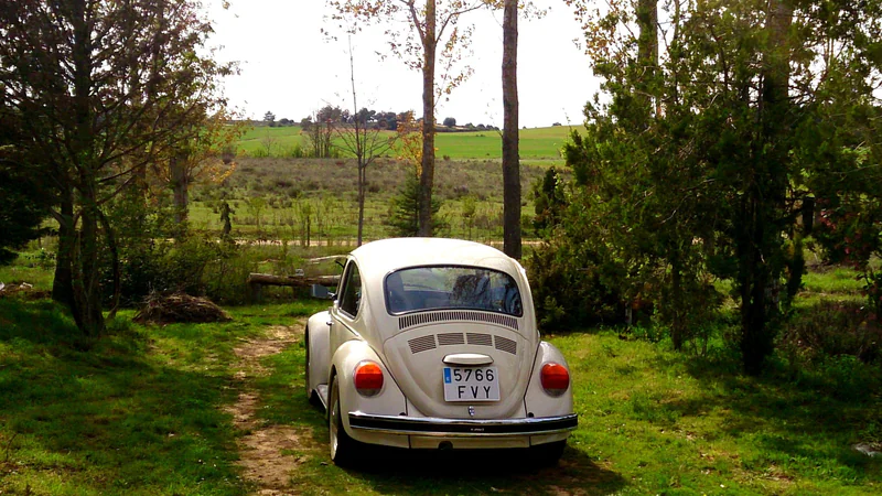 2004 Volkswagen Escarabajo in León 2