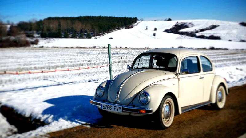 2004 Volkswagen Escarabajo in León 6