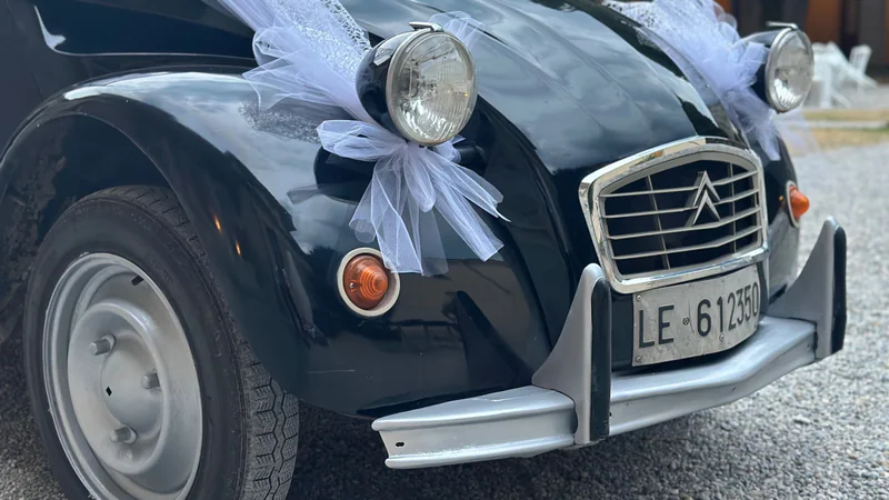 1982 Citroen 2 CV in Piacenza 7