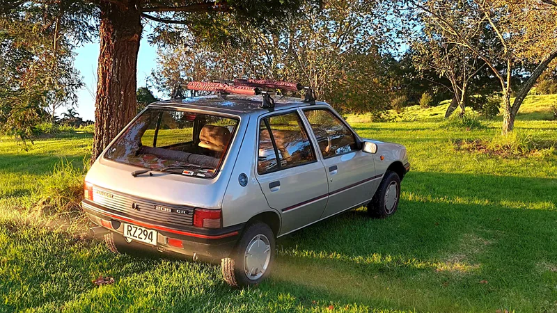 1992 Peugeot 205 GR in Auckland 7