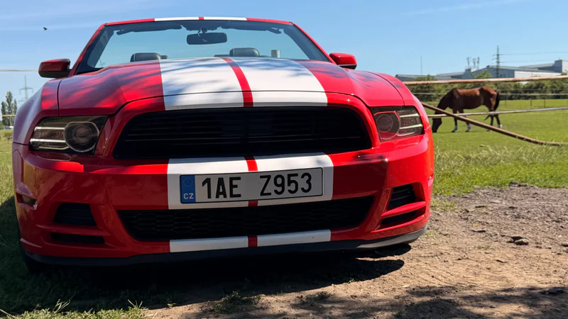 2014 Ford Mustang in Brandýs nad Labem-Stará Boleslav 8