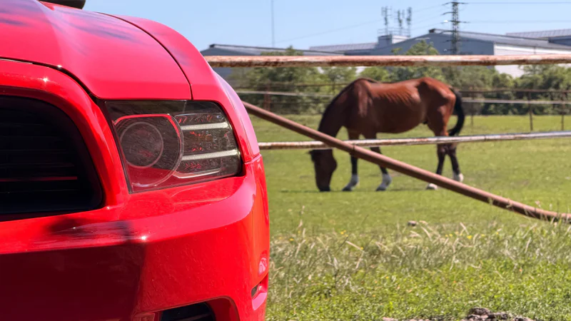 2014 Ford Mustang in Brandýs nad Labem-Stará Boleslav 9