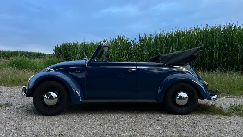 1967 Volkswagen Käfer Type 11 Luxus in Klampenborg 8