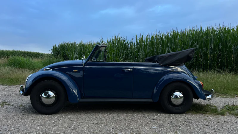 1967 Volkswagen Käfer Type 11 Luxus in Klampenborg 5