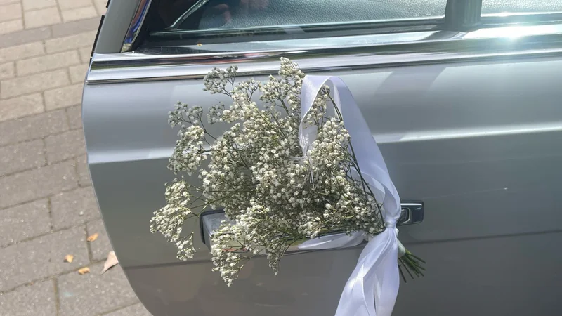 1977 Mercedes-Benz 280 SE in Ærøskøbing 7
