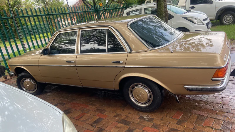 1983 Mercedes-Benz W123 in Randburg 12