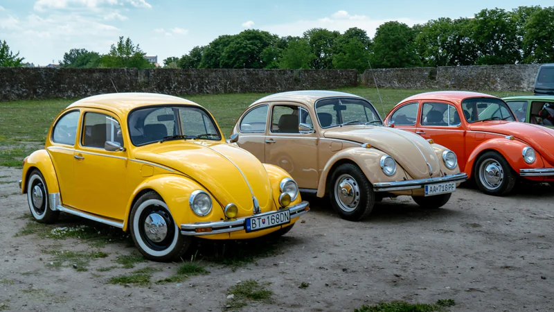 1981 Volkswagen Beetle in Bratislava 3