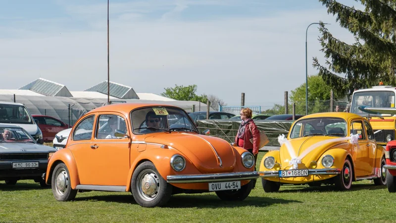 1981 Volkswagen Beetle in Bratislava 6