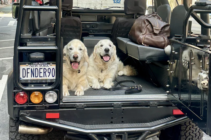 1997 Land Rover Defender 90 Base 17