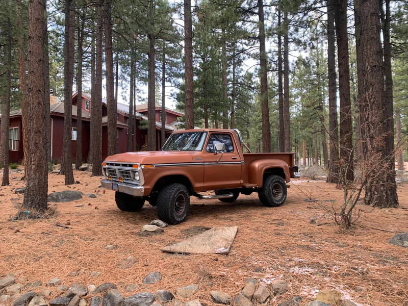 1977 Ford F150