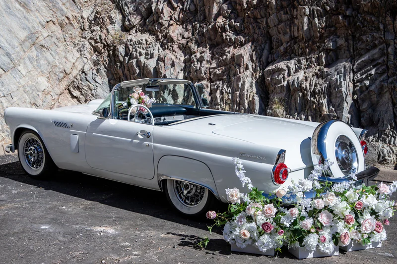 1956 Ford Thunderbird Convertible Coupe 10