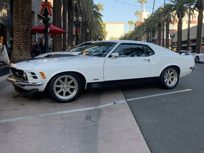 1970 Ford Mustang Base 2