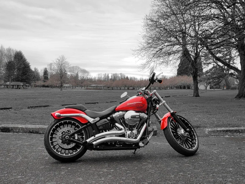 2017 Harley-Davidson Breakout 2