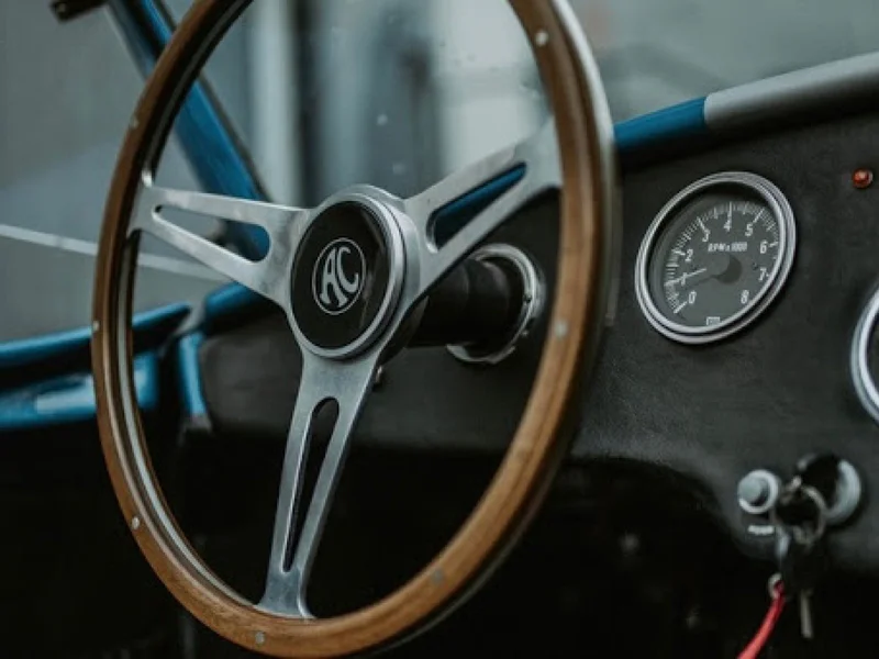 1966 Shelby Cobra 427 S/C 13