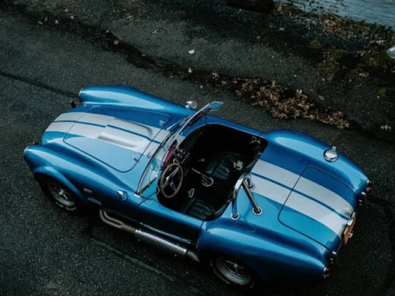 1966 Shelby Cobra 427 S/C 14