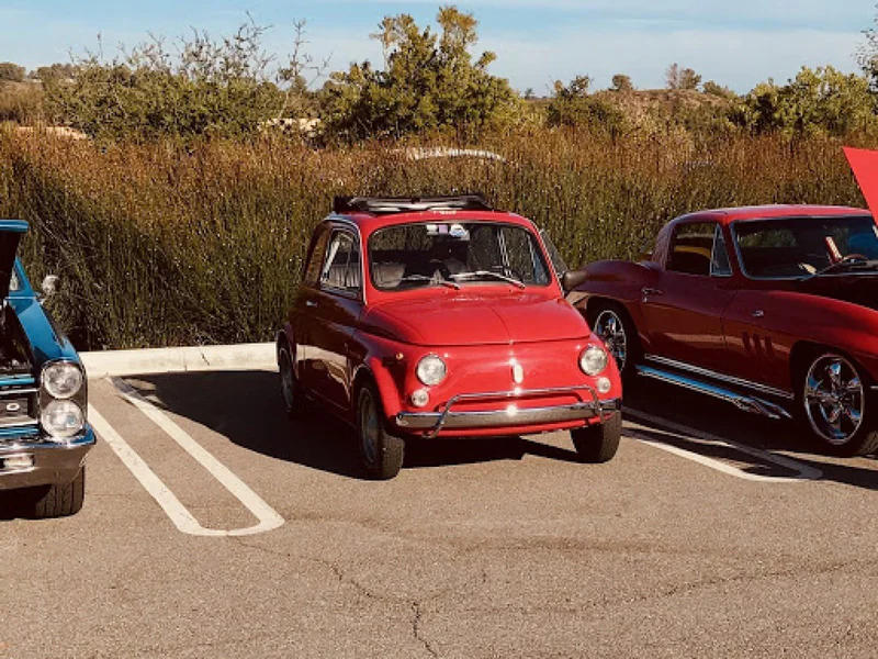 1969 Fiat 500l 5