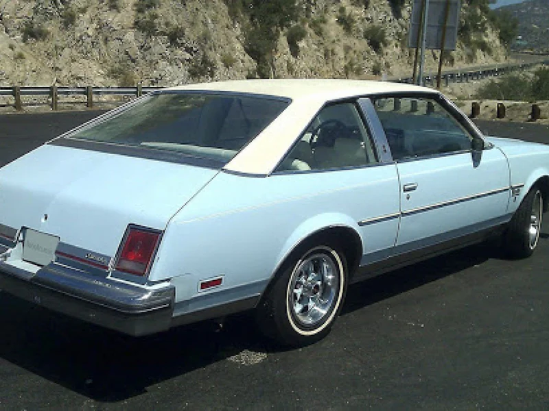 1978 Oldsmobile Cutlass Salon 2