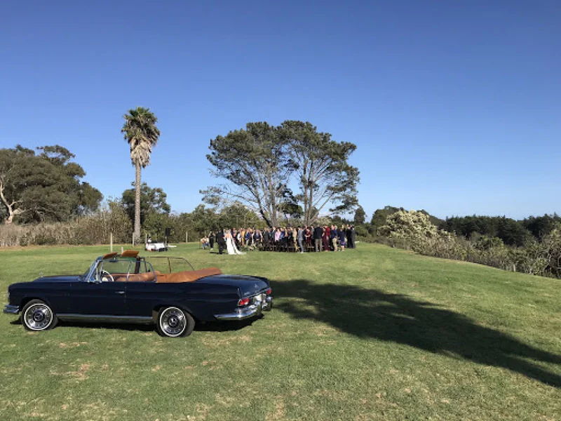 1965 Mercedes-Benz 250 SE Convertible 5