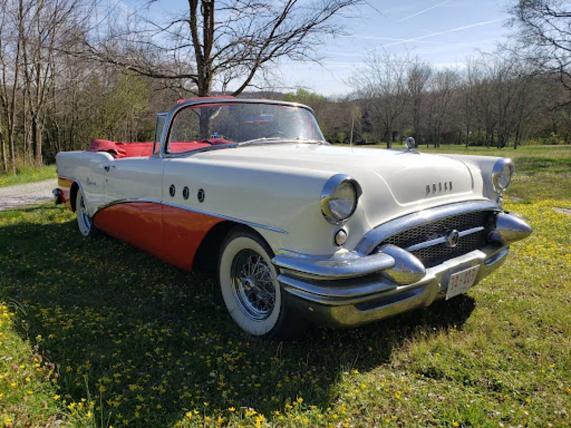 1955 Buick Special Convertible 3