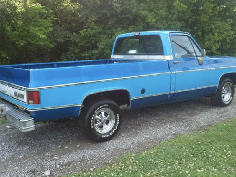 1975 Chevrolet Pickup 3