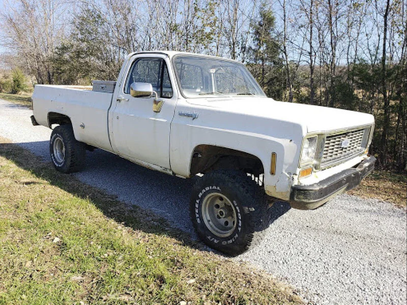 1978 Chevrolet Pickup 2