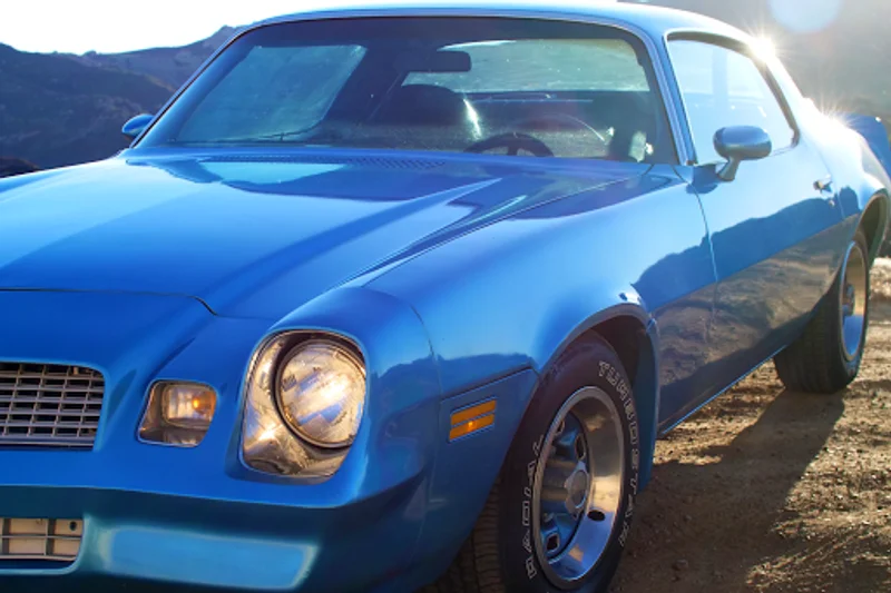 1980 Chevrolet Camaro 3