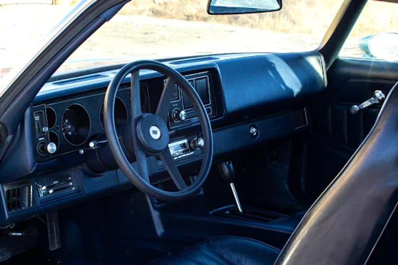 1980 Chevrolet Camaro 5