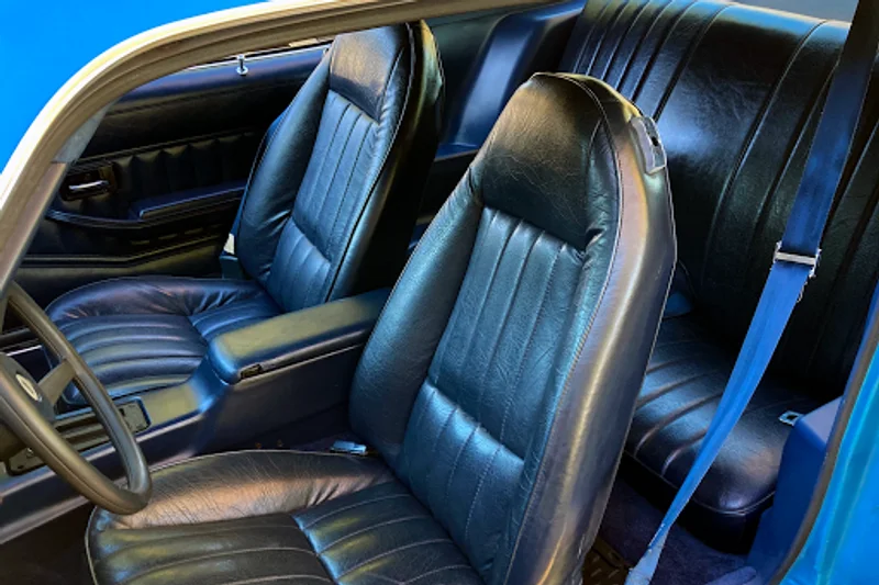 1980 Chevrolet Camaro 6