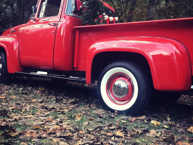 1956 Ford F 100 5
