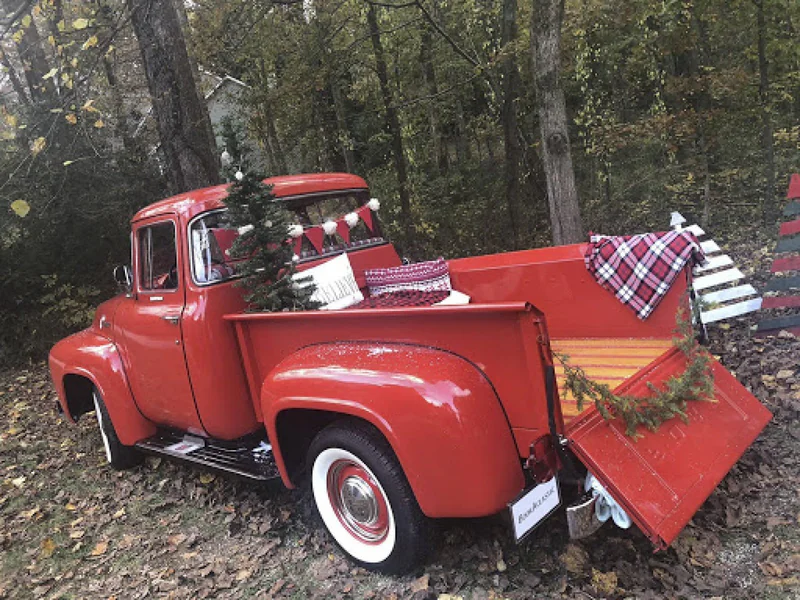 1956 Ford F 100 6