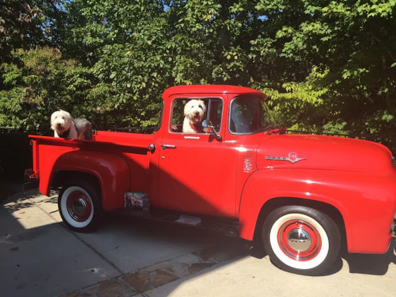 1956 Ford F 100 8