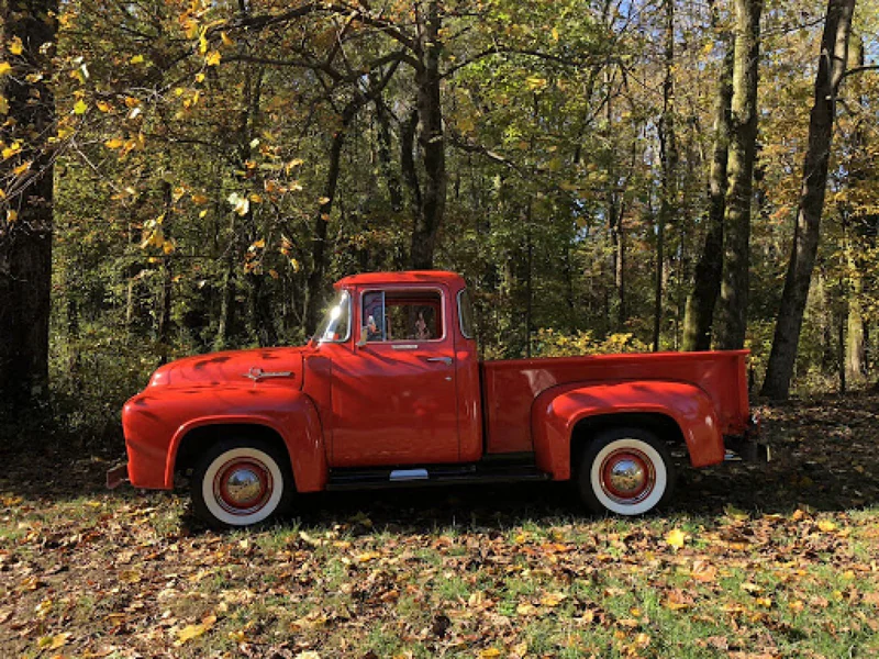 1956 Ford F 100 9