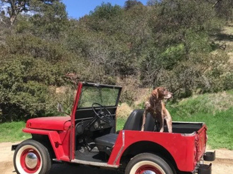 1961 Willys DJ3A 3